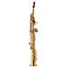 Yanagisawa SWO10 Elite Soprano Saxophone - Brass