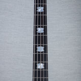 Spector USA NS-5 Electric Bass Guitar - Scary Burst - #1666