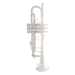 Bach 190S43 Stradivarius Professional Bb Trumpet Outfit - Silver Plated