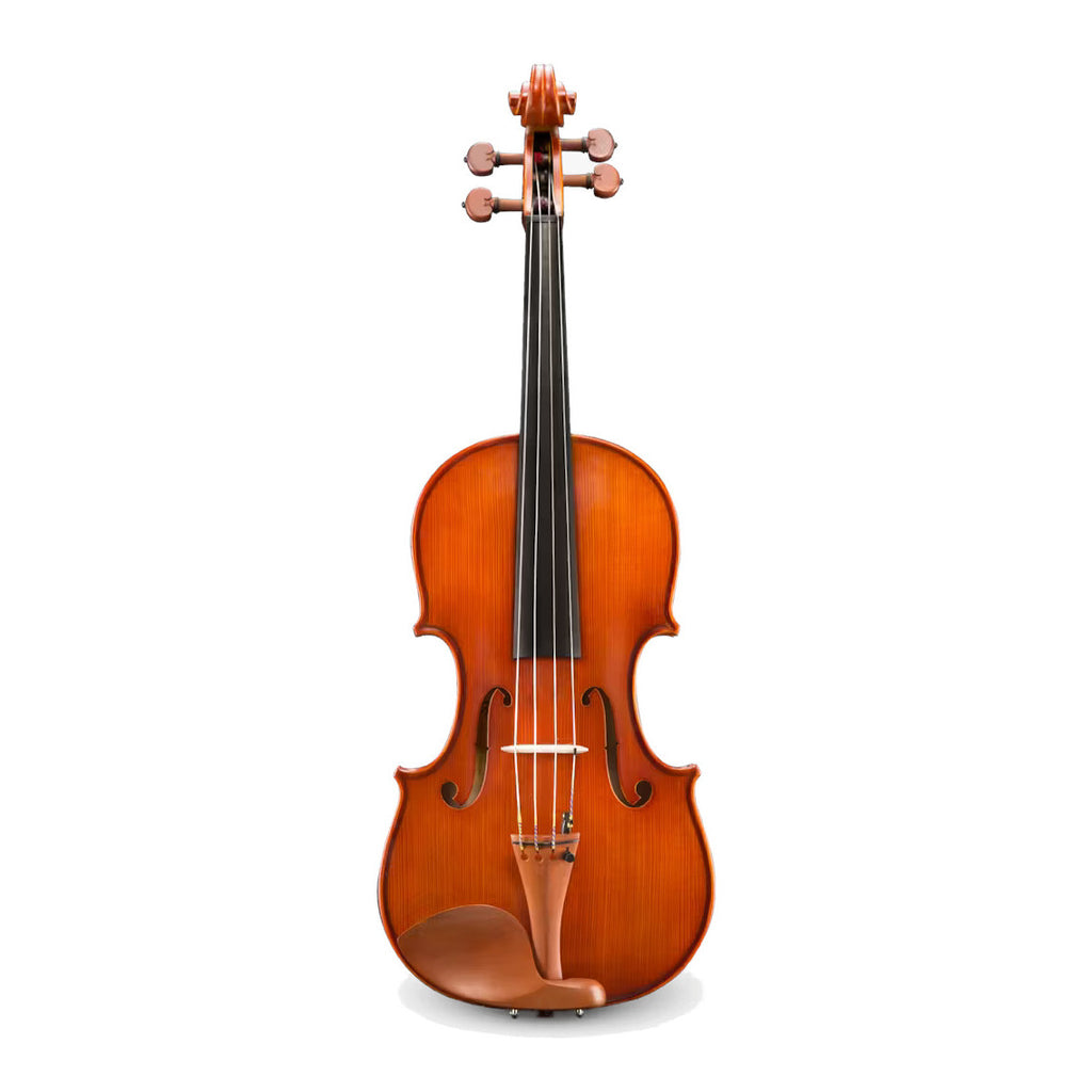 String Instruments - Chuck Levin's Washington Music Center