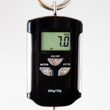 ESP USA Horizon-II Quilt Maple Top Electric Guitar - #US22103