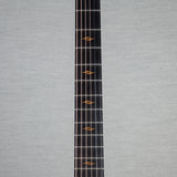 Taylor Limited Edition C14CE Acoustic Electric Guitar - #1205243124