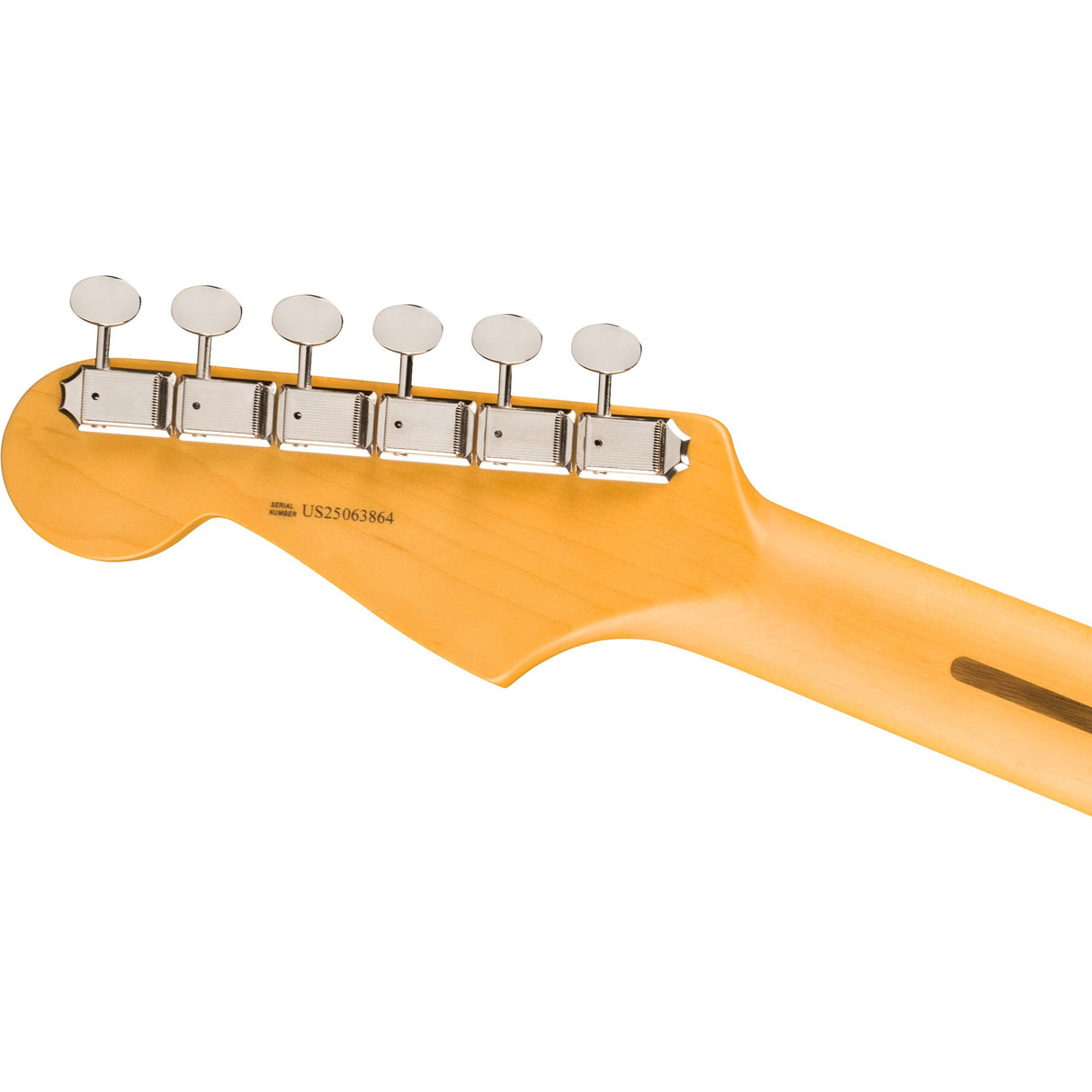 Fender American Professional Classic Stratocaster HSS Electric Guitar, Maple Fingerboard - Faded Black