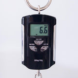 PRS S2 Vela Custom Color Electric Guitar - Frost Green - #S2079313