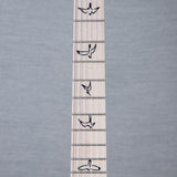 PRS Swamp Ash Special Custom Color Electric Guitar - Swamp Burst - #0421567