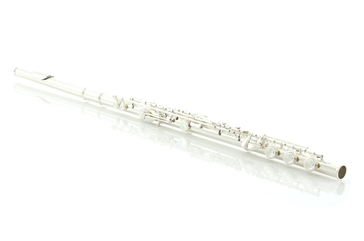 Di Zhao DZ 400BGF Intermediate Flute
