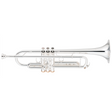 Yamaha YTR-8335IIRSKG Limited Edition Xeno Trumpet