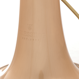 Blessing BFH1541RT Flugelhorn Outfit