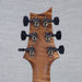 PRS Wood Library Custom 24 Electric Guitar - Goldstorm Fade - CHUCKSCLUSIVE - #240383979