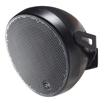 DAS OVI 12 Passive 12-Inch Indoor/Outdoor Speaker