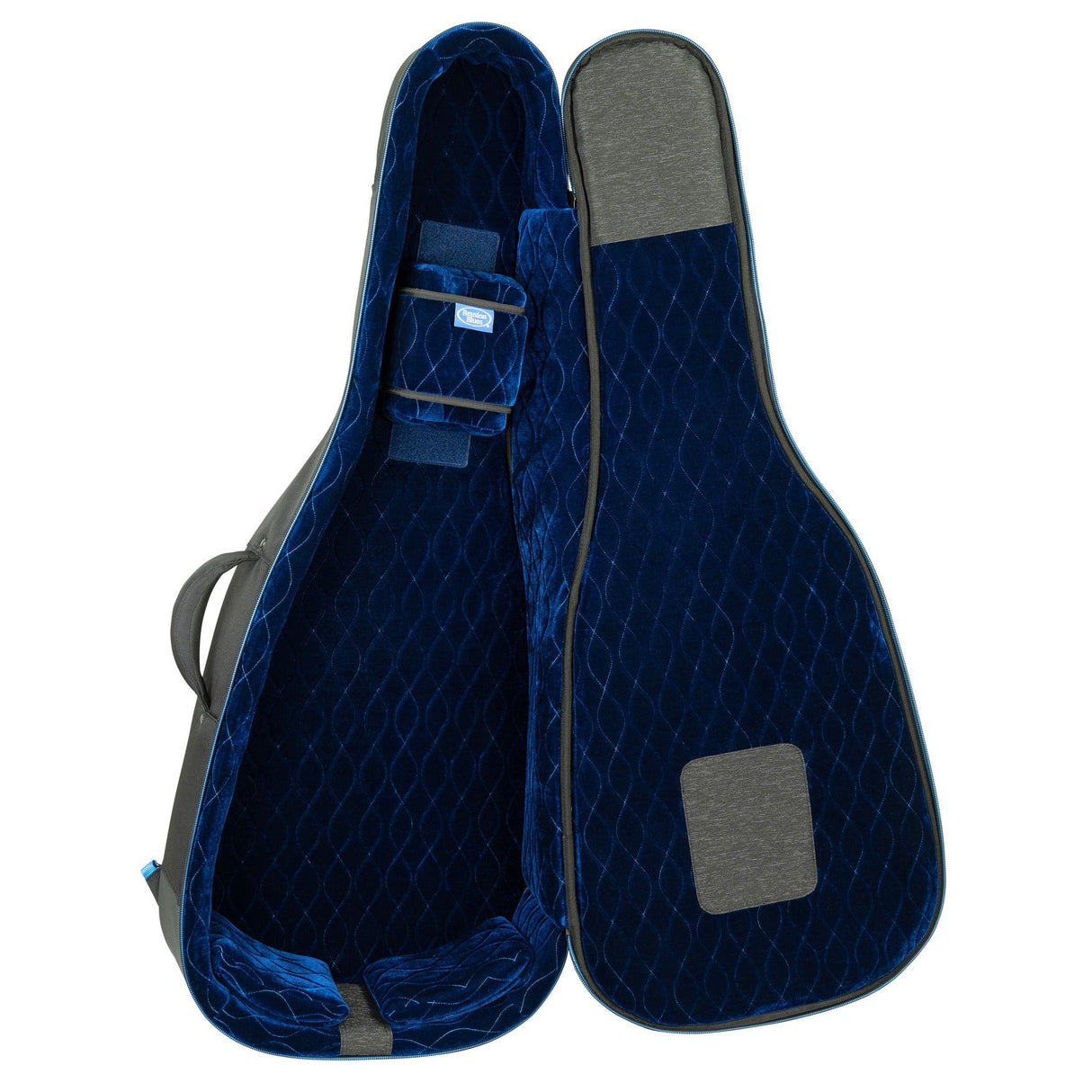 Reunion Blues RB Expedition Acoustic Dreadnought Guitar Case