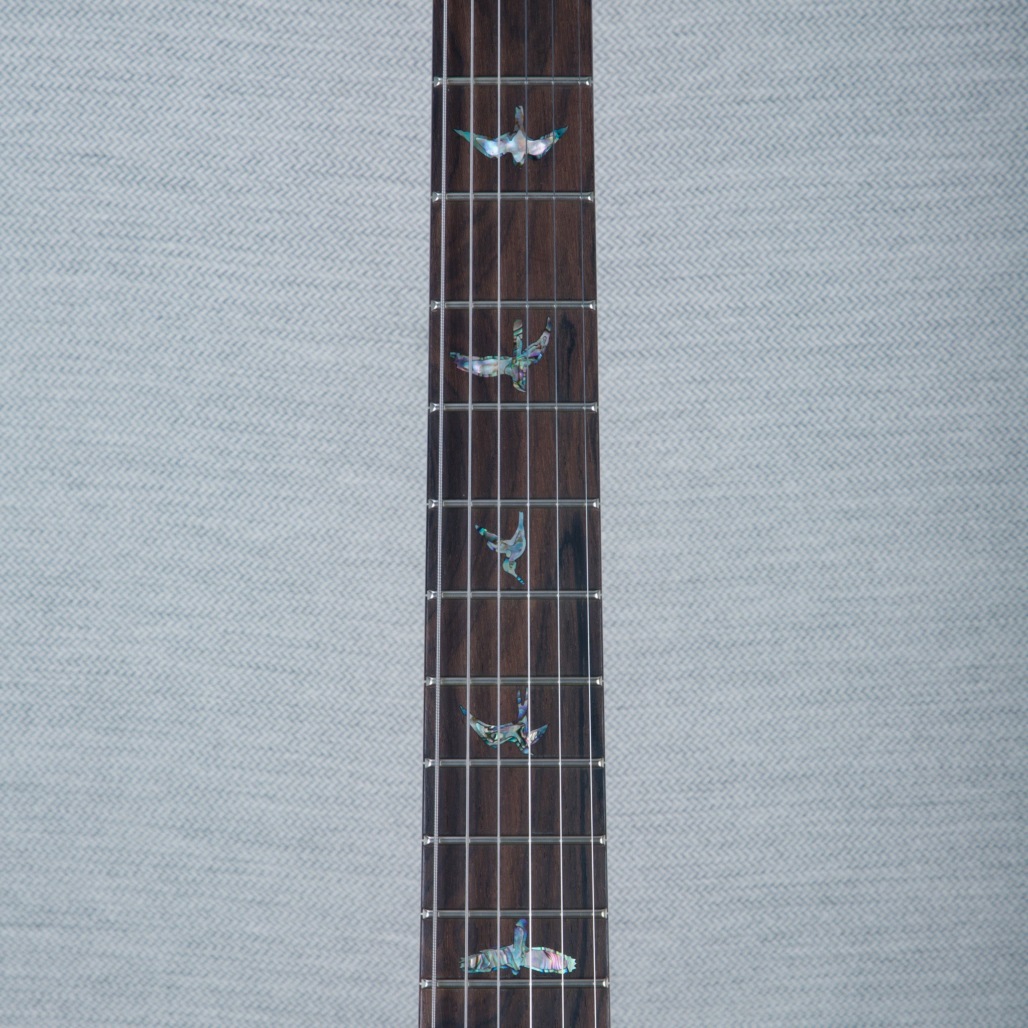 PRS Wood Library DGT Electric Guitar - Private Stock Salmon Finish