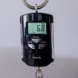 Eastman Offset '63 Electric Guitar - Shoreline Gold