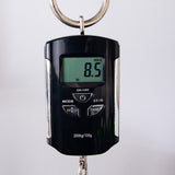 Badlands GX1 Holoflash HS Tremolo Electric Guitar - Holoflash Purple - #US23LP90092