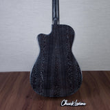 Beard Guitars Trailhead Resonator Acoustic Electric Guitar - Doghair - #1958-25