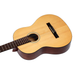 Ortega Student Series RST5 Full-Size Nylon Acoustic Guitar - Natural - New