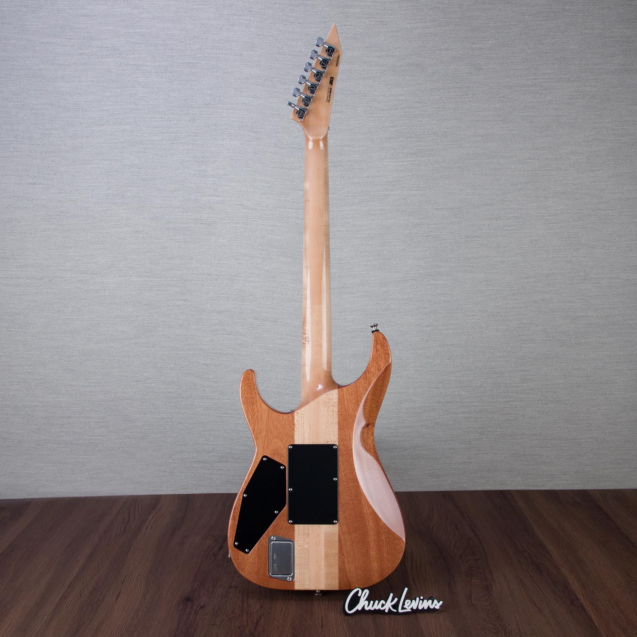 ESP USA M-II NTB NT Electric Guitar - Ghost Flame - #US24788