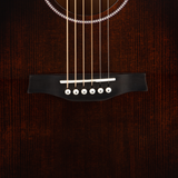 Seagull Artist Mosaic Concert Hall CW GT Anthem EQ - Bourbon Burst - New