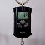 Martin Custom Shop 00-28 Style Guatemalan Rosewood/Adirondack Spruce LR Baggs Anthem - CHUCKSCLUSIVE - #M2741674