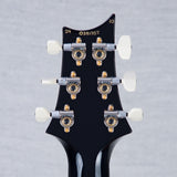 PRS Custom 24 10-Top Electric Guitar - Purple Mist - #240381957