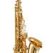 Selmer Paris 82 Signature Professional Alto Saxophone - Dark Signature Lacquer