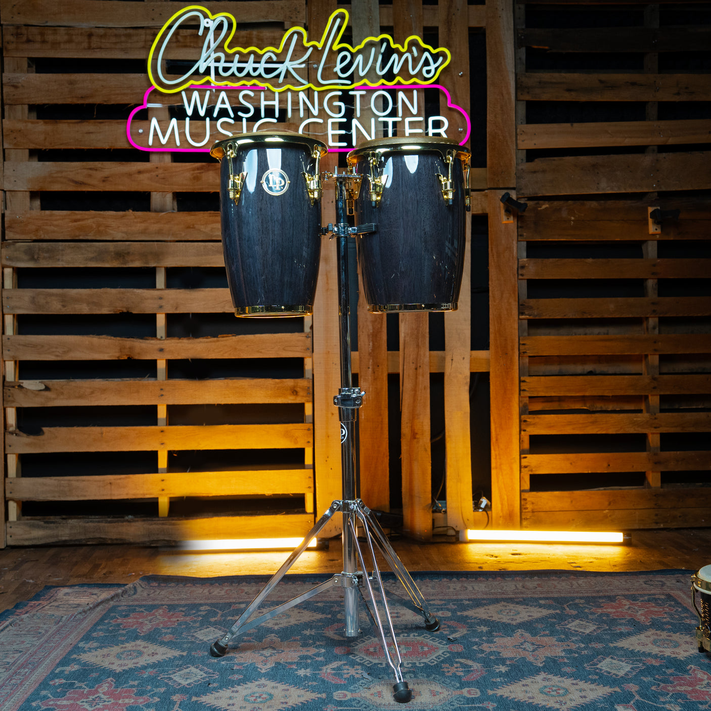 Latin Percussion Junior Conga Set - Black Wood With Gold Hardware - CHUCKSCLUSIVE