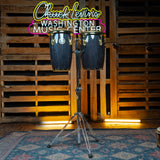 Latin Percussion Junior Conga Set - Black Wood With Gold Hardware - CHUCKSCLUSIVE