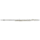 Haynes Amadeus AF760-CS Alto Flute with Straight and Curved Headjoints