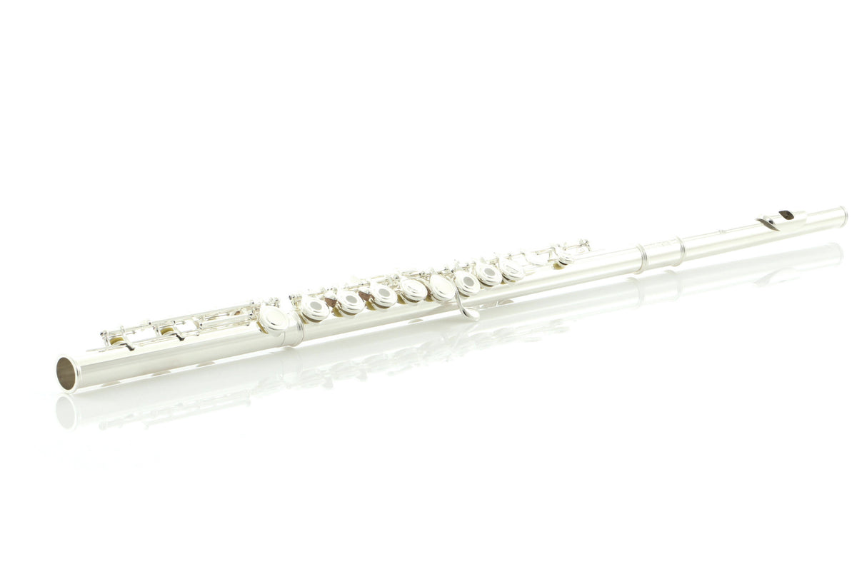 Di Zhao DZ 400BOF Intermediate Flute