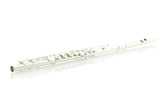 Di Zhao DZ 400BOF Intermediate Flute