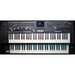 Hammond SkxPRO Dual 61-Stage Organ/Keyboard