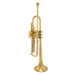 Scodwell Standard "Las Vegas" Bb Trumpet - Raw Brass - New,.460"