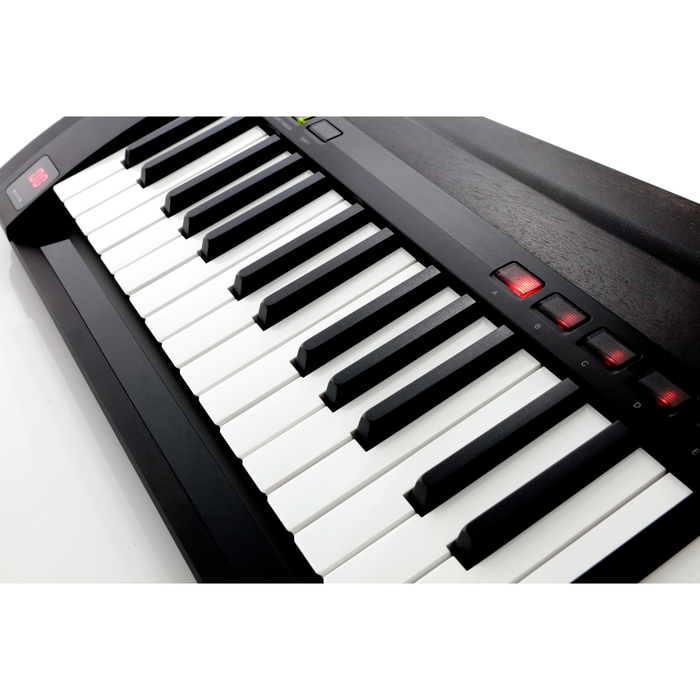 Korg RK-100S 2 37-Key Keytar - Translucent Black