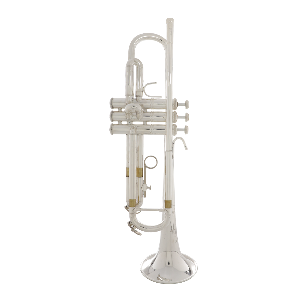 Bach TR200S Step Up B-Flat Trumpet Outfit - Silver Plated – Chuck