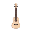Cordoba 24C Spruce Concert Ukulele - Mint, Open Box