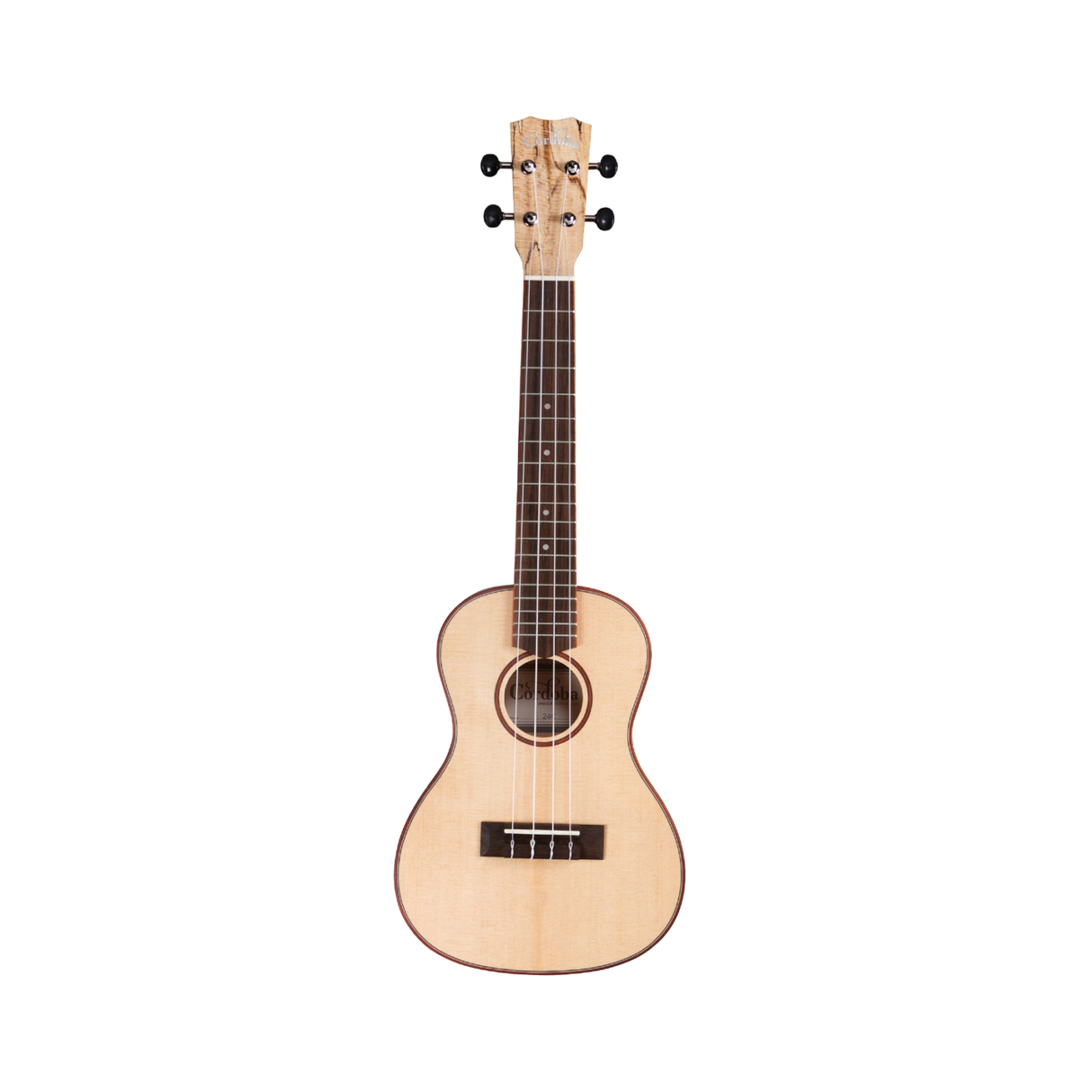 Cordoba 24C Spruce Concert Ukulele - Mint, Open Box
