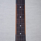 Beard Guitars Road-O-Phonic Lap Steel Acoustic Electric Guitar - Tobacco Sunburst - #287