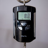 Brubaker USA JXB-BM-5 5-String Electric Bass - Red Jungle Candy - New