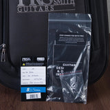 PRS S2 Vela Custom Color Electric Guitar - Frost Green - #24S2079251