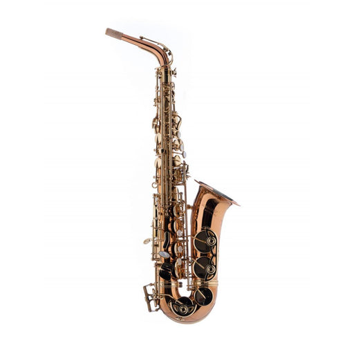 Schagerl A-2B Superior Alto Saxophone - Bronze