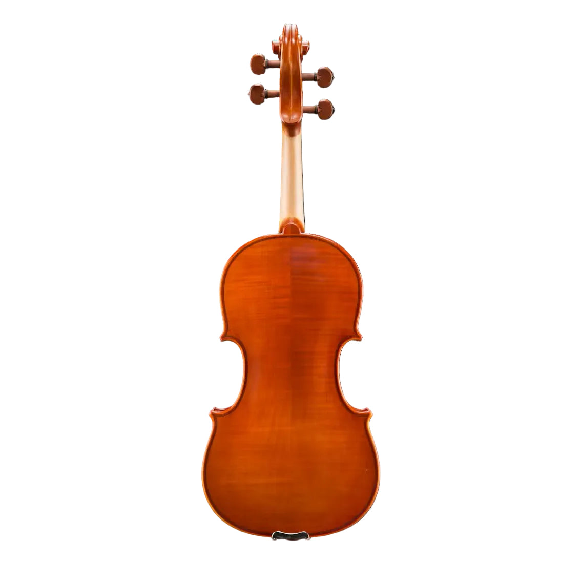 Eastman Strings VA200 Viola Outfit - 15.5-Inches