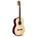 Cordoba C10 Crossover Classical Guitar - New