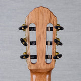 Arce AR5-3-CE-SP Maple/Spruce Acoustic Electric Requinto - #0118