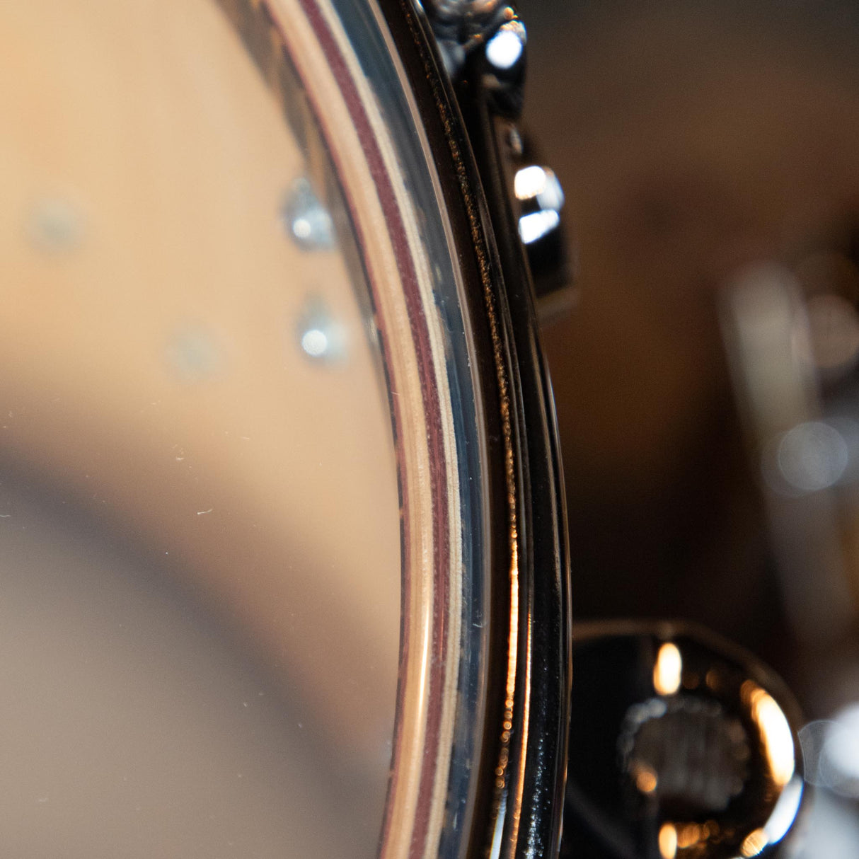DW Collector's Series Exotic 5-Piece Shell Pack - Natural Lacquer over Royal Ebony Veneer