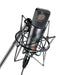Neumann TLM 193 Cardioid Condenser Microphone - Nickel