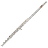 Di Zhao D-Series Silver Flute w/Offset G, C# Trill, & D# Roller