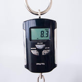 PRS Studio 10-Top Electric Guitar - Aurora Borealis - #250405824