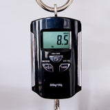 Paoletti 112 Lounge 2 Psyclone - Candy Apple Red - #153821