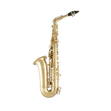 Selmer SAS511 Alto Saxophone