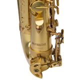 Lupifaro Platinum Series Alto Saxophone - Vintage